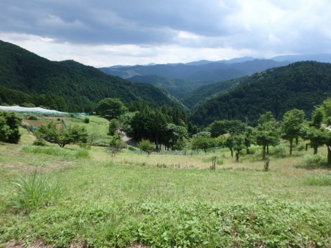 9hsgivabtzbfvcuobjnr_480_480-4c906123.jpg