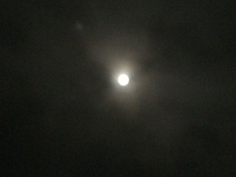9iccpxbf2bvzefv3w2rr_480_480-108459c6.jpg