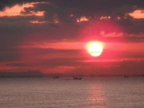 9if85643p28sd68jhpg3_480_480-782c3c3e.jpg