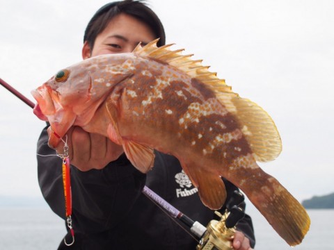 9ijf7c2fyn346x3kob48_480_480-28f47083.jpg