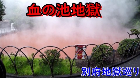 9iknrp5xk3p3soj4tjaf_480_480-9c656a4a.jpg