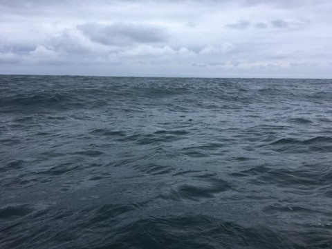 9inrykvaon6fypa3b4us_480_361-9d569fb4.jpg
