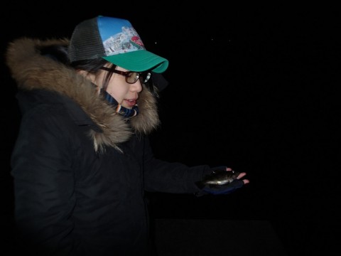 9iuabuk3eca42ddmmays_480_480-db5fd9fa.jpg