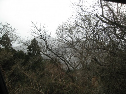 9iw7uw8dwnsuierp652t_480_480-91869b33.jpg