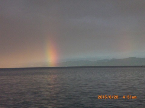 9iy9natkge9b68tcavs3_480_480-f4d642a4.jpg