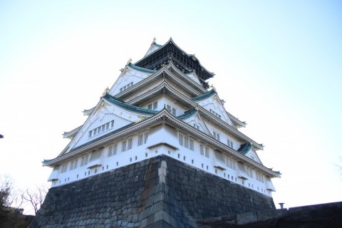 9j57xjtj445sr7w6bfw4_480_480-b3c90226.jpg