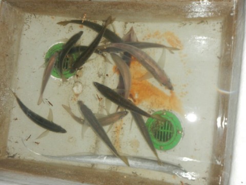 9jcn9o27djbhouz8gpf7_920_690-ded9813f.jpg