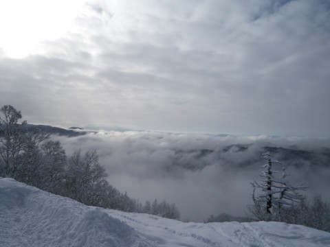 9jizxhtkyxye3s2b2bs5_920_690-88409d4d.jpg