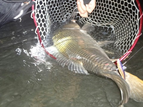 9jmhz52kg7c92s7i2wrn_920_690-58950abe.jpg