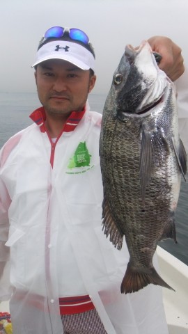 9jn2tmxbv3my6peabnim_480_480-ddc188fa.jpg