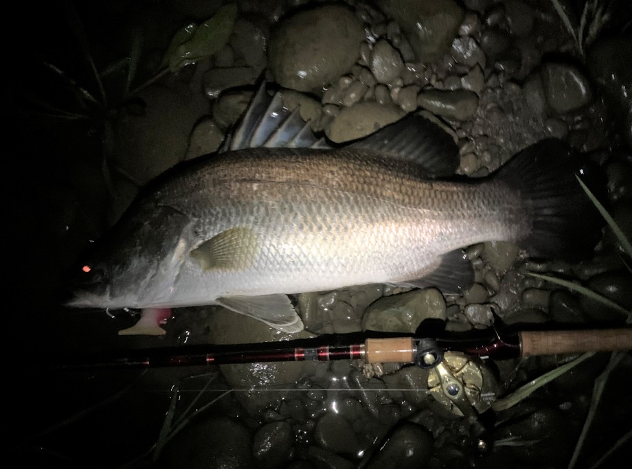 Second Fishing Life アカメ釣り