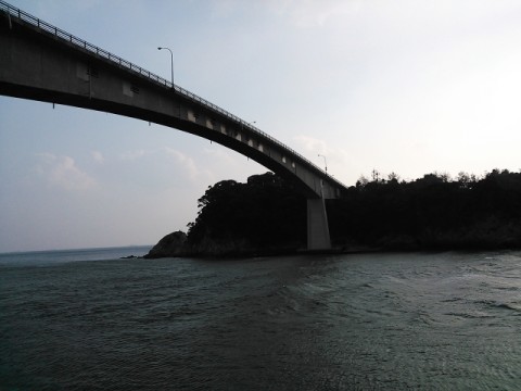 9jrxpyk38fa4dy4y32v7_480_480-470a139c.jpg