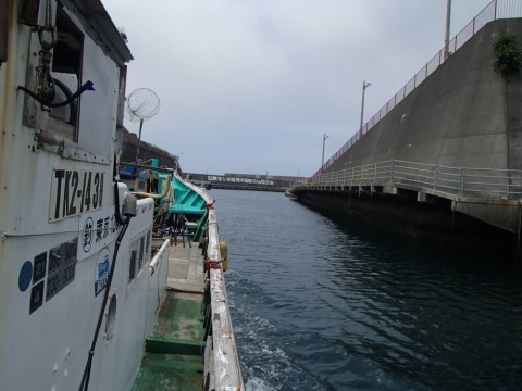 9k7dpdaj8npt4gngkodh_480_480-f8dce4e9.jpg