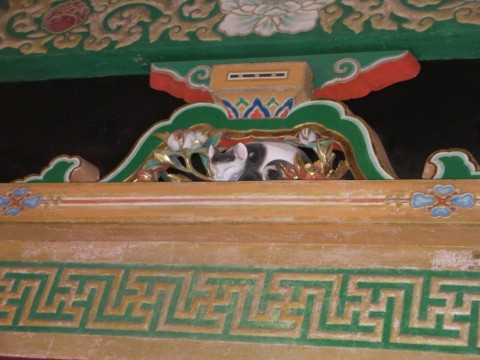 9khr8jez2i9cg9z24wzy_480_480-c564d7ef.jpg