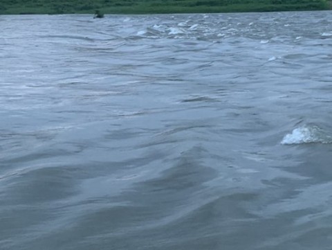 9kis9bdmapapxro7mgzw_480_361-f22366f5.jpg