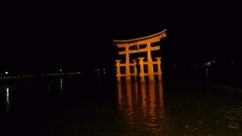 9kyagompb4gmc5h4tm9g_480_480-ecccf63f.jpg