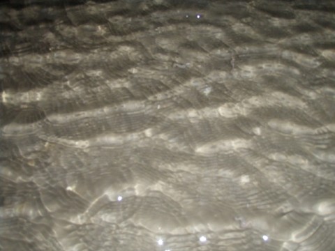9m9v57gkjaa4xhy8gd9e_480_480-21d6ce85.jpg