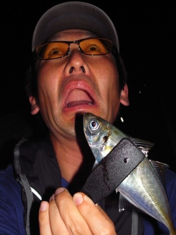 9mfdwkip9ph3jdxp6y29_480_480-4868f897.jpg