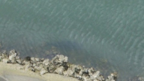 9mkubgbjjshfm9ohstr7_920_518-72e29da3.jpg