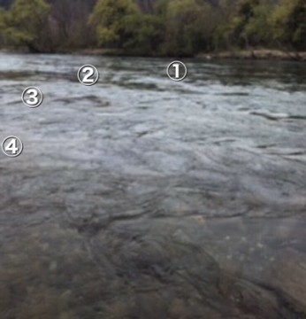 9mtpkzatwrfw24evydx8_400_416-edfb14d0.jpg