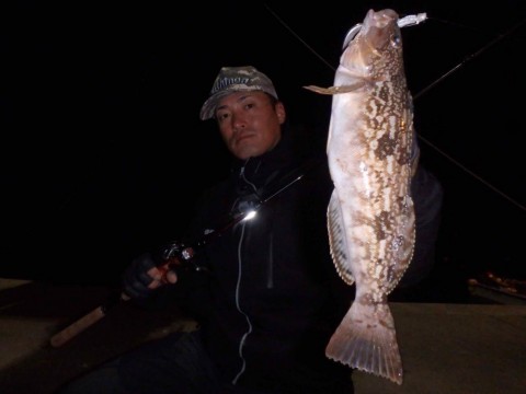 9nvpi9agnpvpb775387d_480_360-beffd8d9.jpg