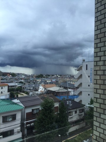 9nysmvotuxazayvo948p_690_920-128d2f01.jpg