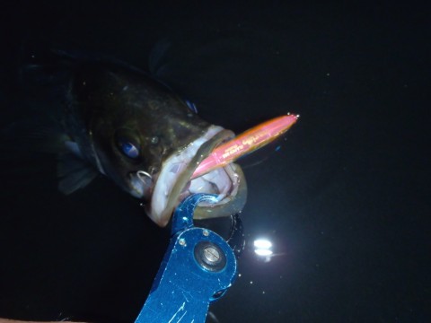 9nz5sd6y39y7kg2d33u7_920_690-df4164ff.jpg