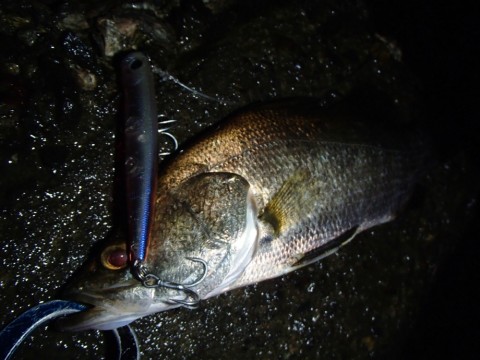 9ochaeeevuvpzbzp5679_920_690-e68f6996.jpg