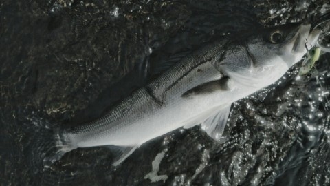 9ox5h78zajokws4h64ir_920_518-cb02f31f.jpg