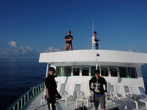 9p5gpzjm84y7bwj6xufo_920_690-52932d70.jpg