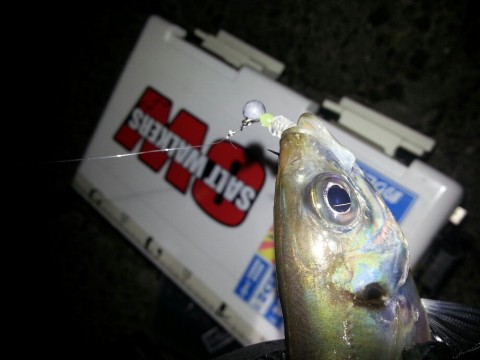 9p9cufyc6nvtikck4smc_920_690-c4409717.jpg