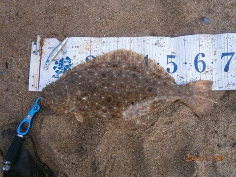 9pduytyv5yo36ntmdnbf_480_480-04b729cb.jpg