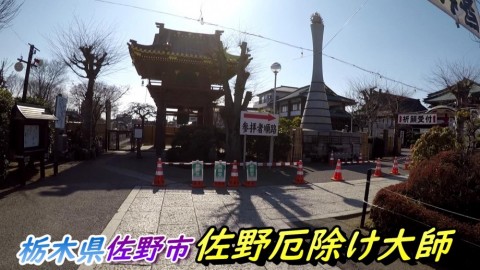 9pfyn33ar7pj5u5kjwi5_480_480-ce65a71a.jpg