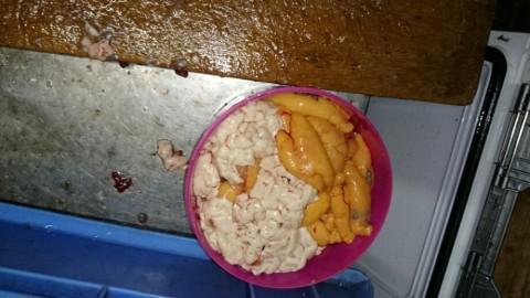 9pkru6f7wntm6d4akpyo_920_518-f01d4f09.jpg