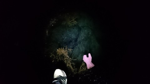 9pmigzhffn4ybp86hztb_480_480-8ab18e80.jpg
