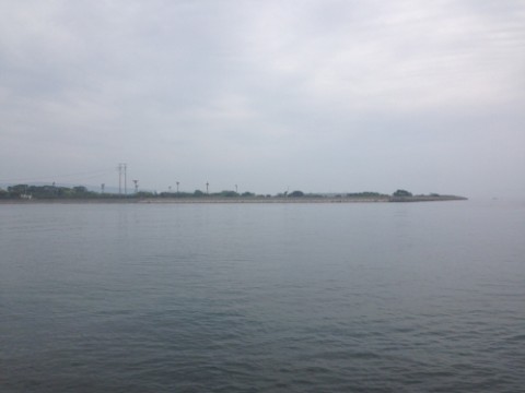 9pu954fm5d5sdopmk244_480_480-6f5d8151.jpg