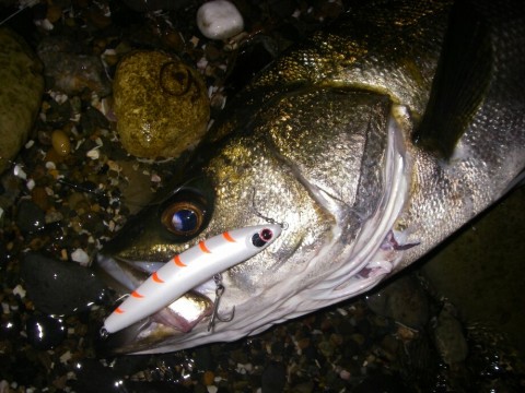 9r6craw7e4i96w7aombx_920_690-012f486d.jpg