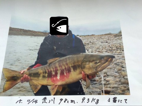 9r6ndsery7ckei6orajy_480_480-57857d95.jpg