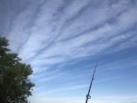 9rdnrt9hvwxxvdr347a6_480_480-193f37ca.jpg