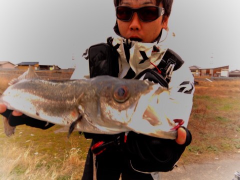 9rfn7k6xgci3hw3f9djy_920_690-fc9347c1.jpg