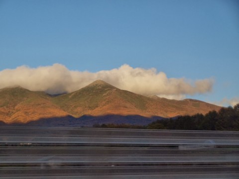 9rkfh865cvihxtjy5rtw_480_480-b3b4d5e3.jpg
