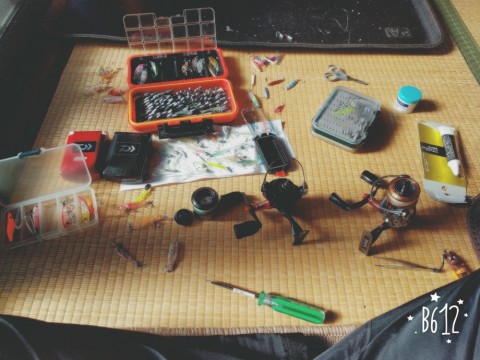 9rwk59x39gzawumnc7zi_480_480-a767788f.jpg
