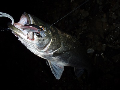 9sezoi4hzjnxu4of5t93-f810e483.jpg