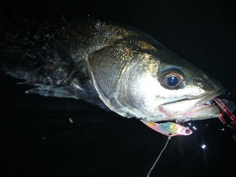 9spvoigk3b9oshikk4yd_920_690-365d0efc.jpg