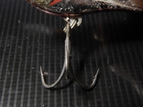 9sv6mtneofrssrmr5pig_480_480-919850b8.jpg