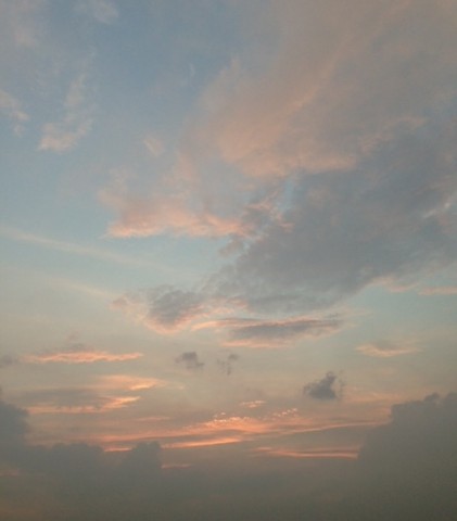 9tbf2ufyhcig2dcfibck_480_480-4e8f9b6b.jpg