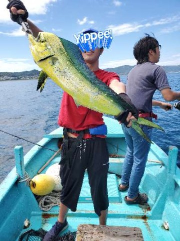 9tbp9huexhkwo8ikt9pr_480_480-b894998a.jpg