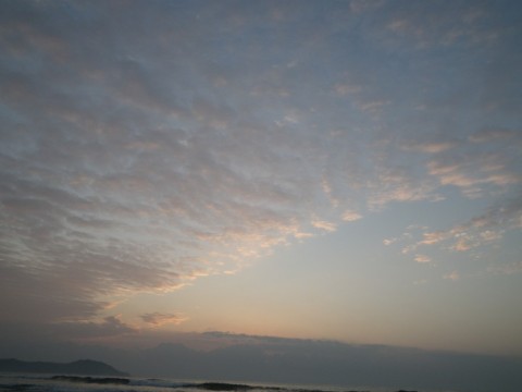 9tdtf25dddx6cxrcm372_480_480-e352dc40.jpg