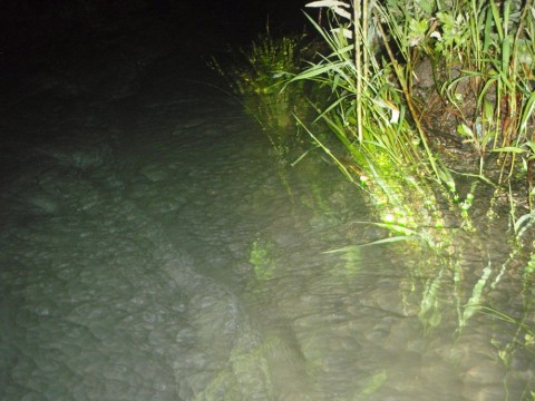 9tgrpfha8kwmtyeya2up_480_480-b37fb4f5.jpg