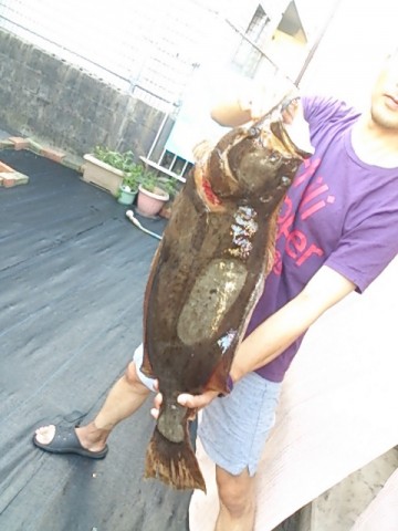 9ths39pw7gmru2oozemy_480_480-7d2ea8b4.jpg